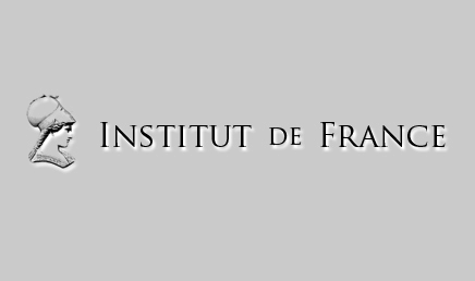 Logo INSTITUT DE FRANCE